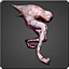 Ach icon 48