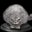 Ach icon 12