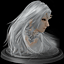 Ach icon 41
