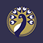 Ach icon 21