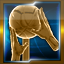 Ach icon 16