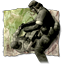 Ach icon 34