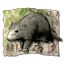Ach icon 39