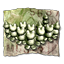 Ach icon 48