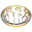 Ach icon 20
