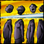 Ach icon 26