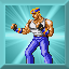 Ach icon 26