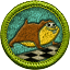 Ach icon 22