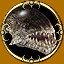 Ach icon 16