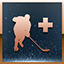 Ach icon 20