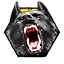 Ach icon 24
