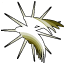 Ach icon 13