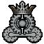Ach icon 25