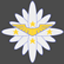 Ach icon 24