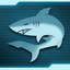 Ach icon 43